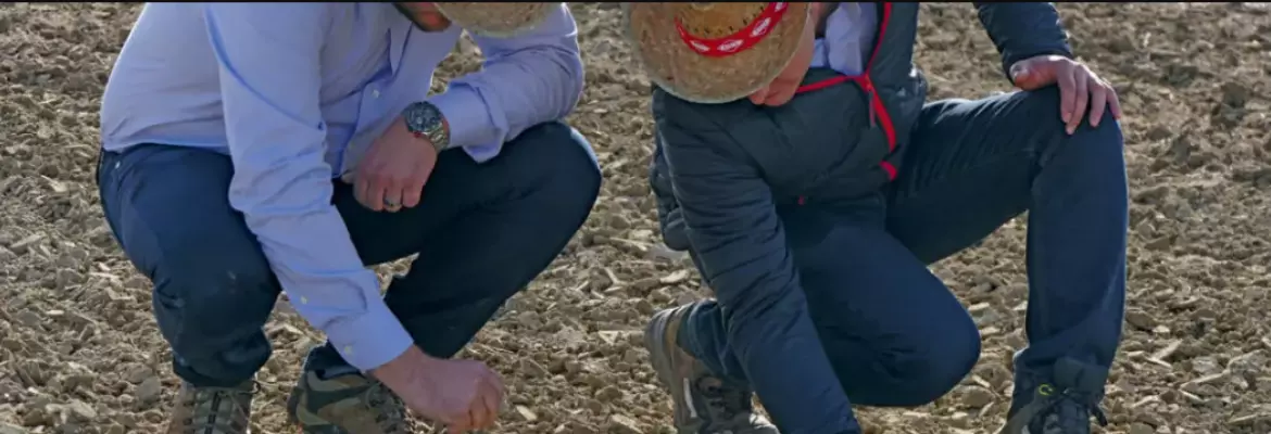 Rolnictwo konserwujące