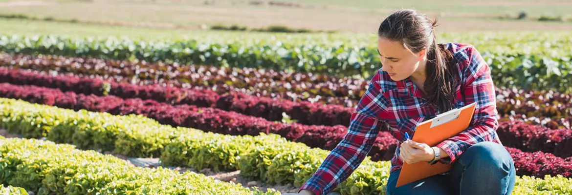 Wyzwania rolnictwa zrównoważonego