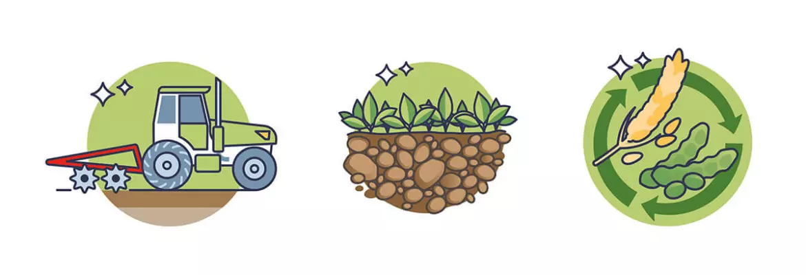 Zasady rolnictwa ekologicznego