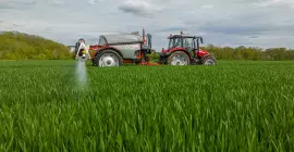 LEXIS 3000, oprysk buraków