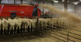 PRIMOR 15070 M podczas pracy