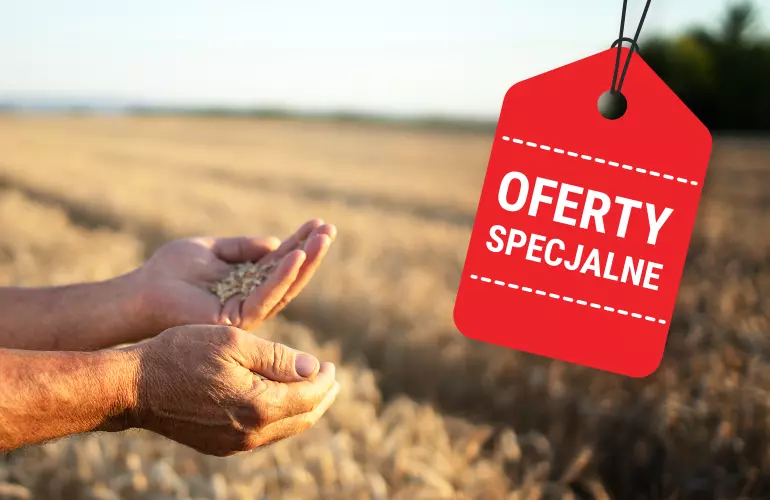 Oferty specjalne grafika