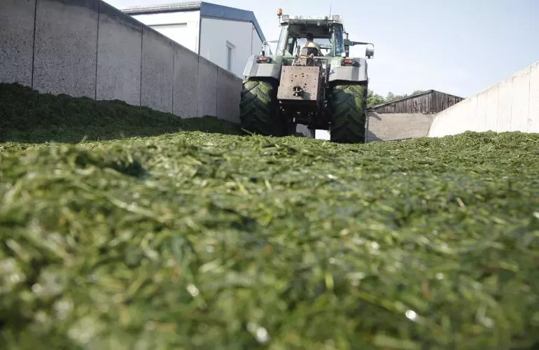 Silage Clamps