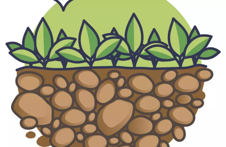 cover crops help to improve air quality sustainably as an agricultural practices