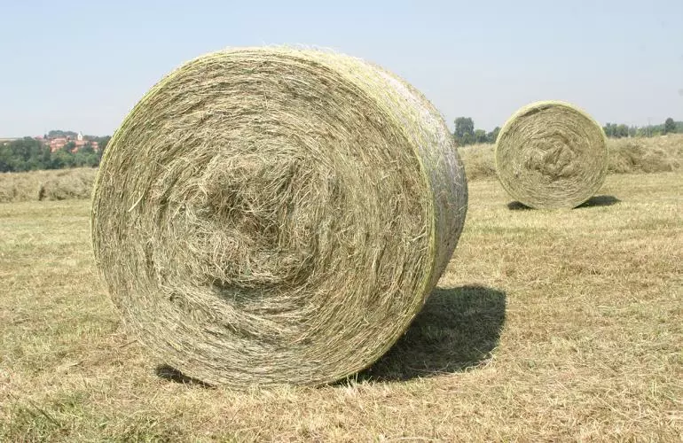 une balle ronde de foin