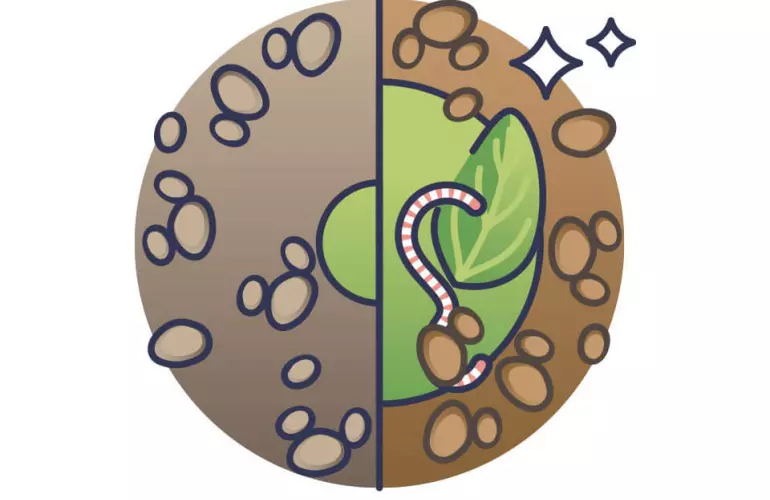 Poprawa jakości gleby