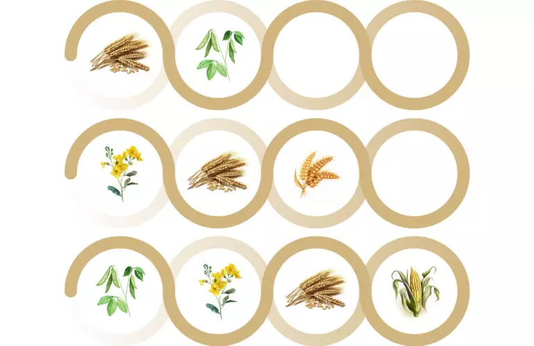 Przykłady płodozmianu