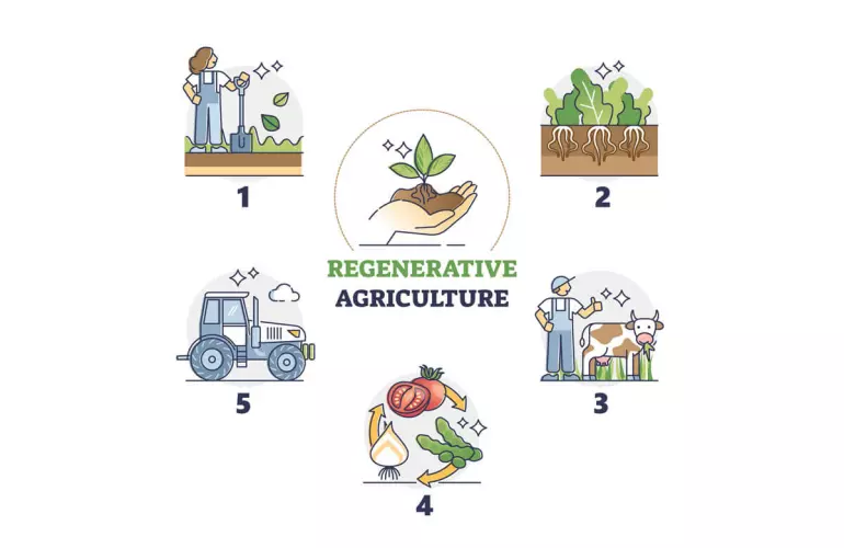 5 principles of regenerative agriculture method outline diagram