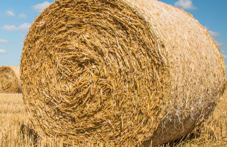 System zwiększania ciśnienia PROGRESSIVE DENSITY PLUS zapewnia o 10% wyższą gęstość w przypadku suchych upraw