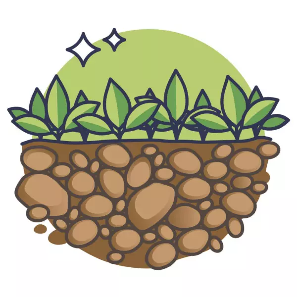 Uprawy okrywowe rolnictwo zrównoważone