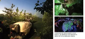 Nocny pokaz opryskiwaczy sadowniczych - VENTIS nocą