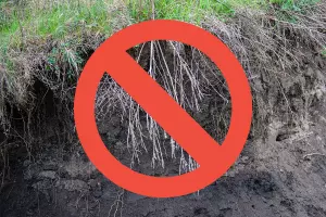 preventing and limiting soil erosion with regenerative agriculture