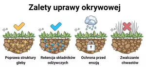 Zalety uprawy okrywowej