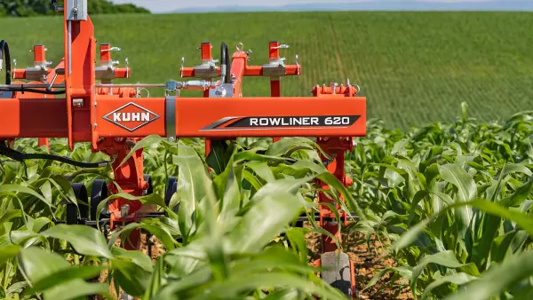 Zdjęcie pielnika rzędowego ROWLINER w kukurydzy w fazie 9 liści