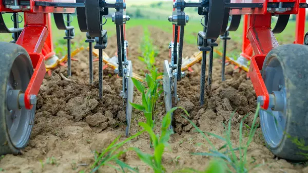 Zdjęcie deflektorów pielnikarzędowego ROWLINER