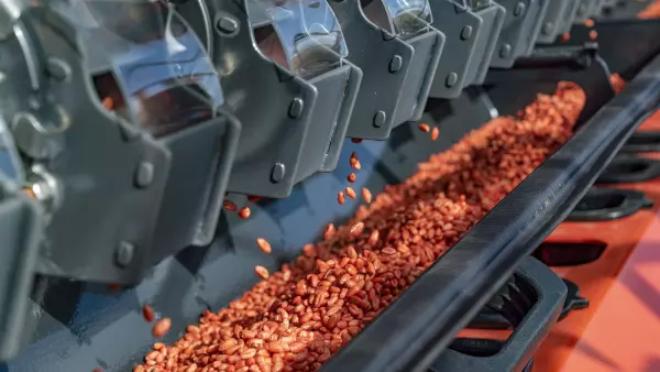 Dobrze zintegrowany zestaw ciągnik-maszyna z nabudowanym siewnikiem mechanicznym SITERA 3030 e