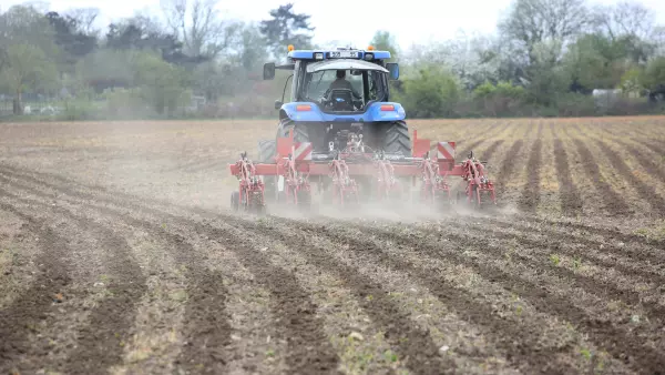 Wiosenny zabieg kultywatorem pasowym STRIGER 100 pozwala przygotować bruzdę siewną.