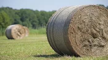 Міцні тюки обв’язані сіткою