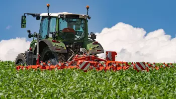 Zdjęcie pielnika rzędowego ROWLINER w kukurydzy, w fazie 9 liści