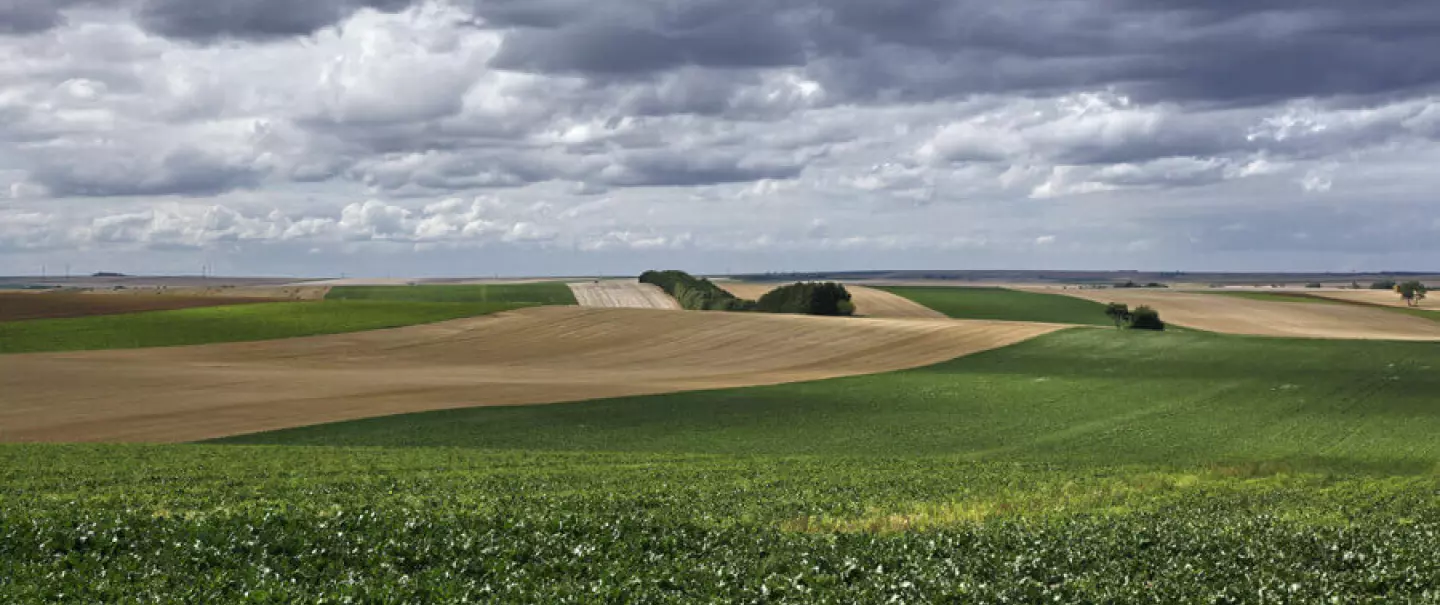 landscape with fields and grey sky