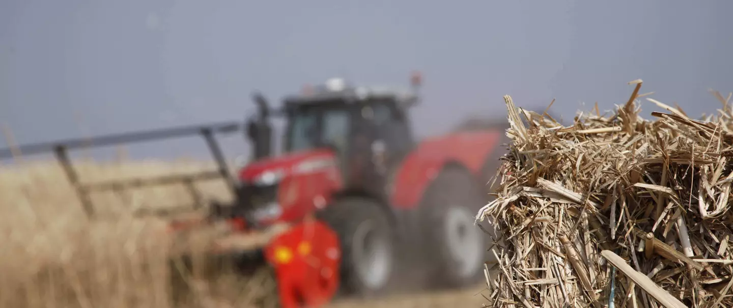 Liczne zalety zbioru miskanta lub innych roślin energetycznych za pomocą rozdrabniacza WS 320 BIO.