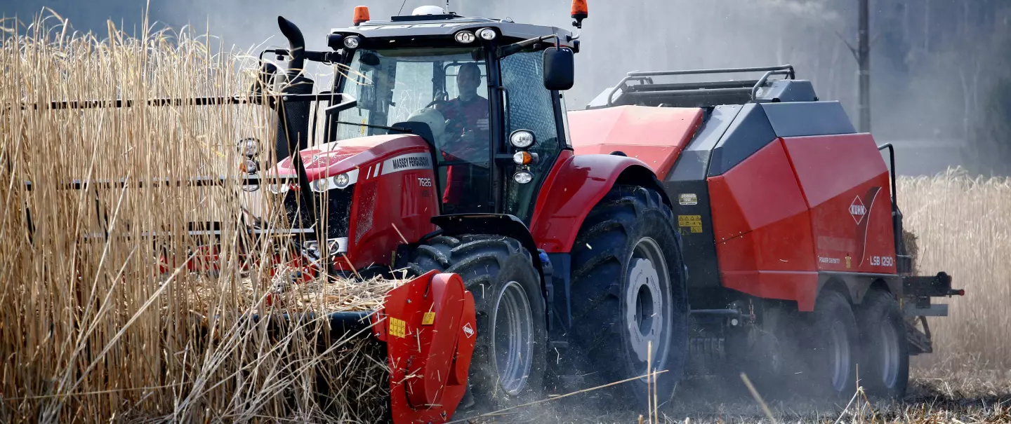 Liczne zalety zbioru miskanta lub innych roślin energetycznych za pomocą rozdrabniacza WS 320 BIO.